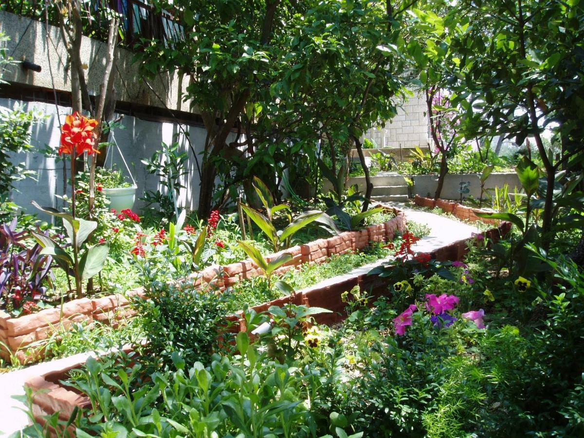 Villa Libertas Brela Bagian luar foto