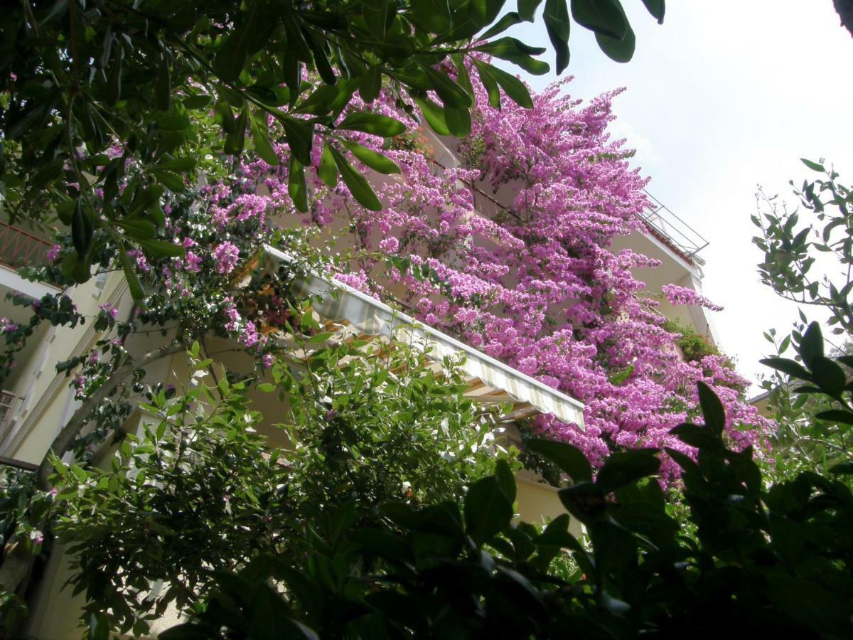 Villa Libertas Brela Bagian luar foto